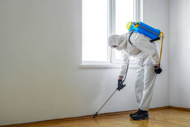 Best Pest Prevention Services  in Durant, IA